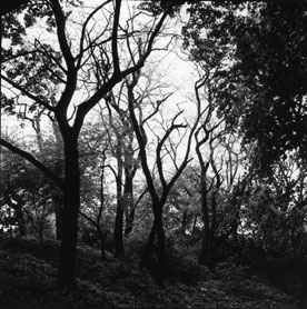 Robert Gambee Photography