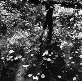 Robert Gambee Photography