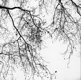 Robert Gambee Photography