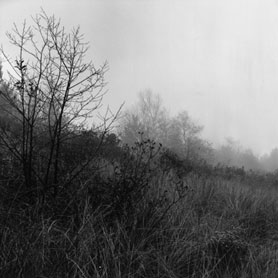 Robert Gambee Photography