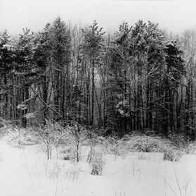 Robert Gambee Photography