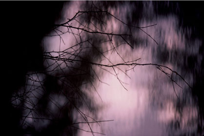 Robert Gambee Photography
