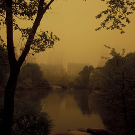 Robert Gambee Photography