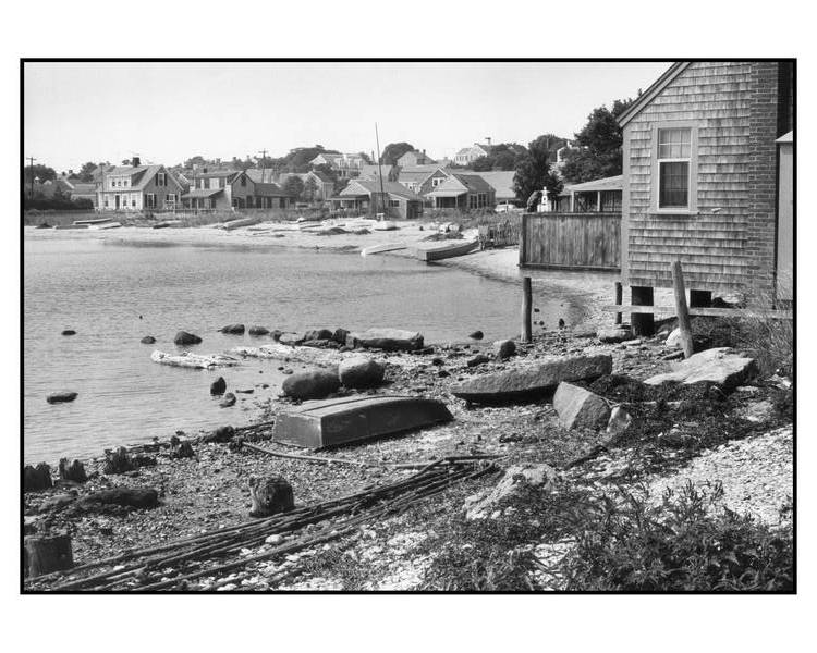 Harbor Shore