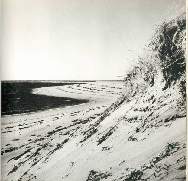 Tuckernuck's South Shore