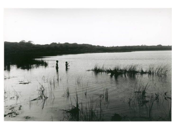 Just Fishing