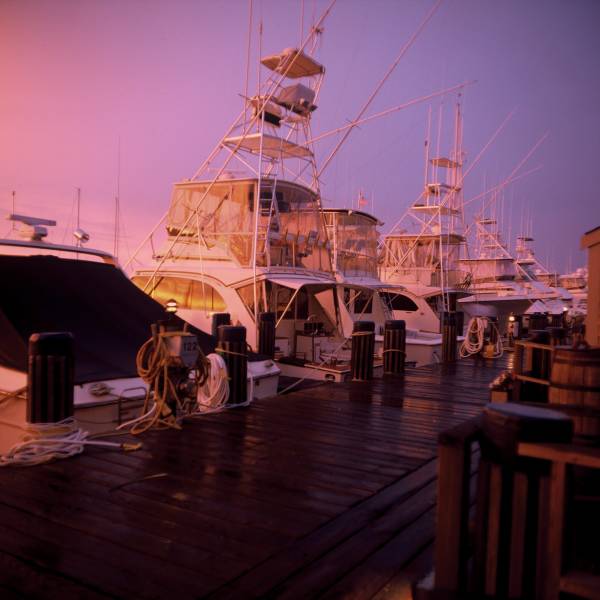 Marina Dusk