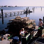 216-5b013.Jpg