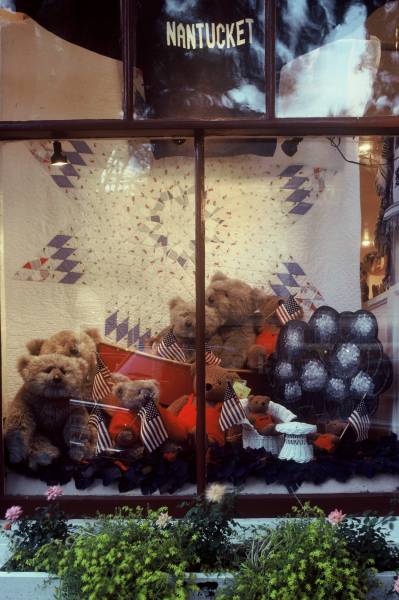 Erica Wilson Bears