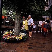 2065_5c76.Jpg