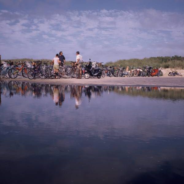 Bike Reflections