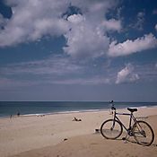 2167_5c289.Jpg