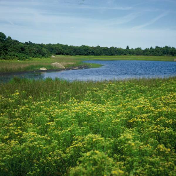 Quaise Pond