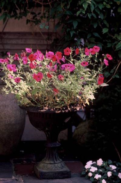 Summer Urn