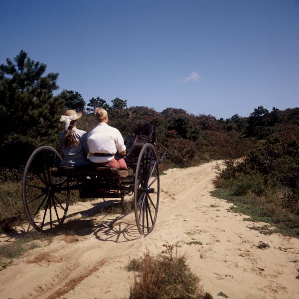 Buggy Ride through the Moors
