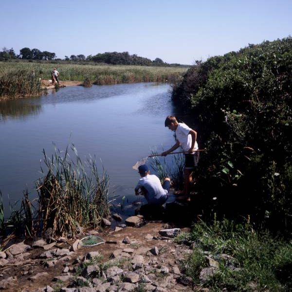 Crabbing