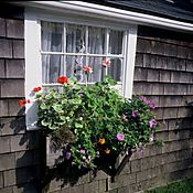 206-5A114.Jpg