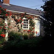 207-5A115.Jpg