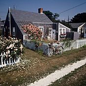 232-5b242.Jpg