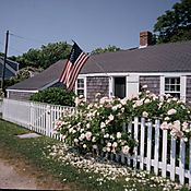 233-5b243.Jpg