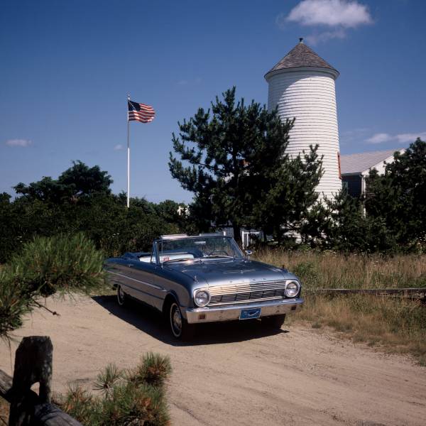 Bug Light