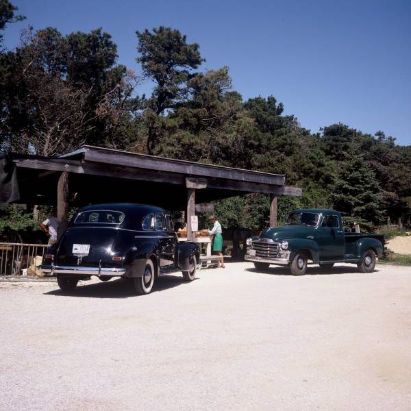 At the Farm Stand