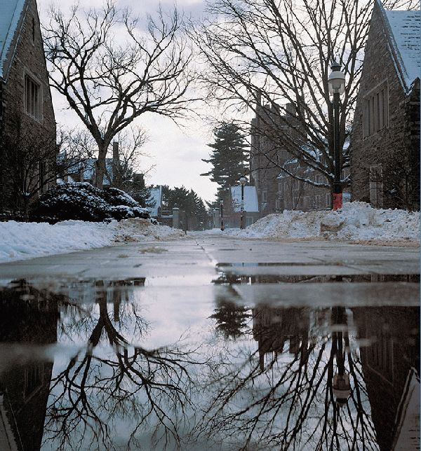 Lower Campus Reflections