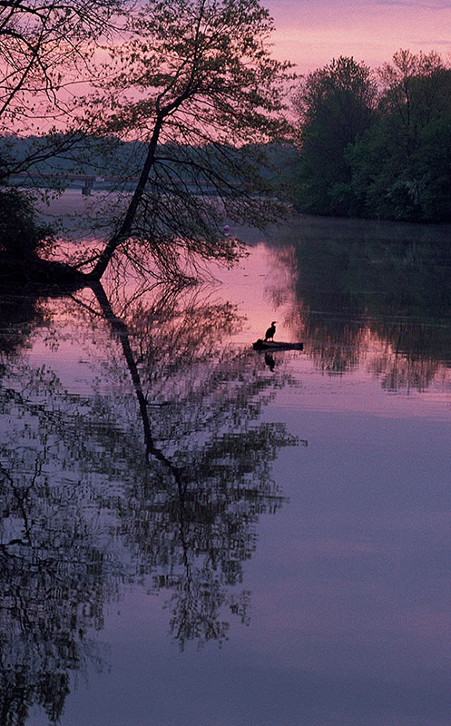 Lake Carnegie