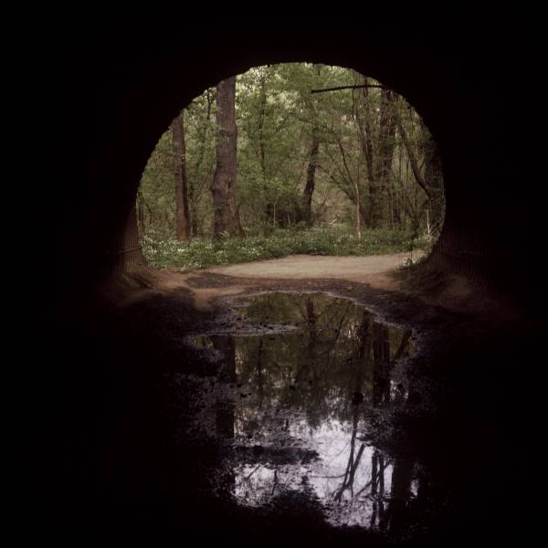 Canal Arch