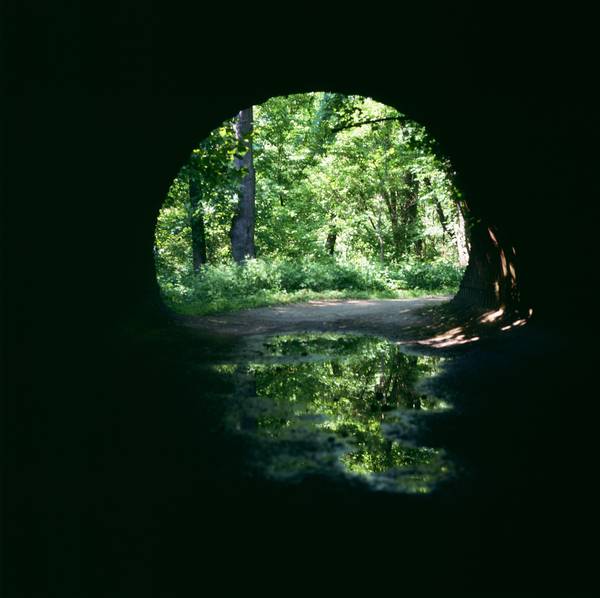 Canal Bridge