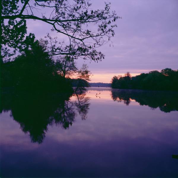 Lake Carnegie Dawn II