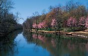 076B_The_Canal_In_Spring.jpg