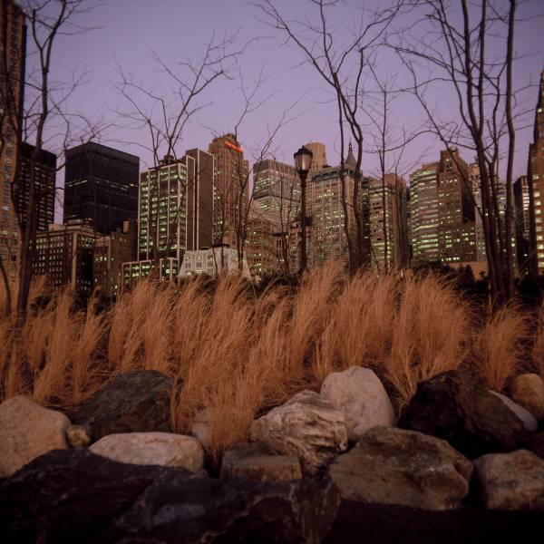 Wall Street from South Cove