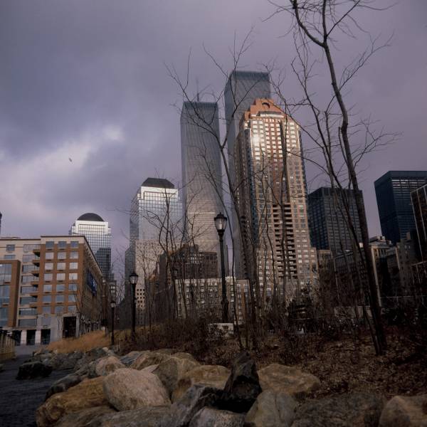 View from South Cove